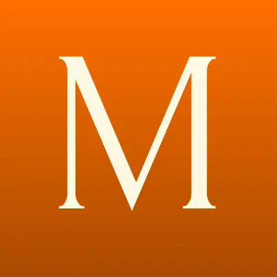 Мегатрон, компания по продаже программного обеспечения, лого-визитка